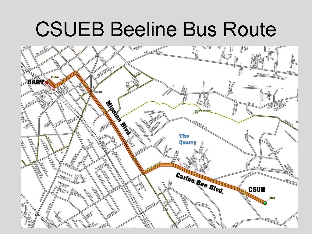 CSUEB Beeline Bus Route 
