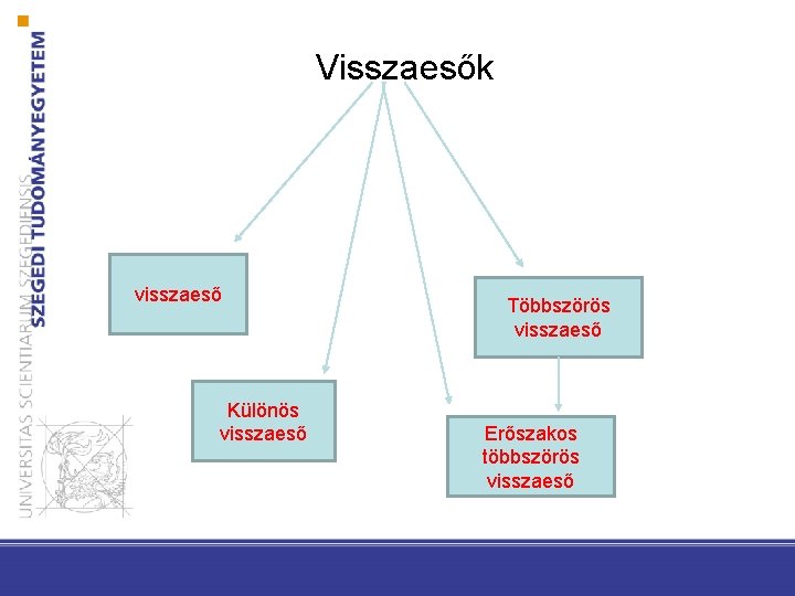 Visszaesők visszaeső Különös visszaeső Többszörös visszaeső Erőszakos többszörös visszaeső 