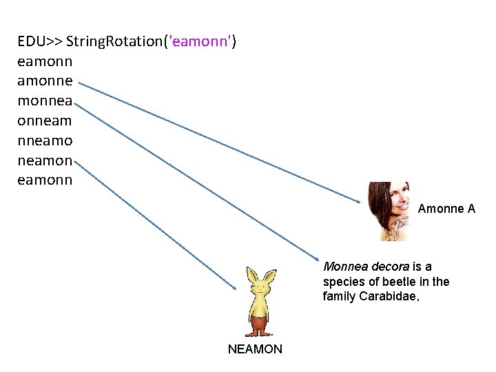 EDU>> String. Rotation('eamonn') eamonne monneam nneamon eamonn Amonne A Monnea decora is a species