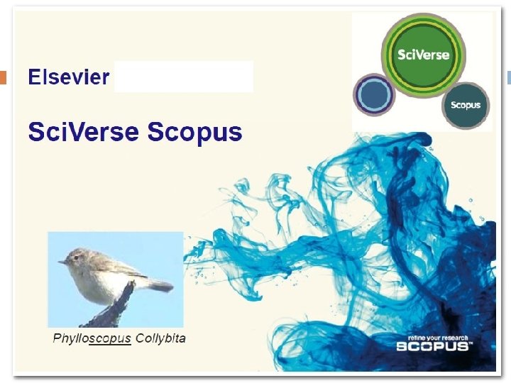 SCOPUS 