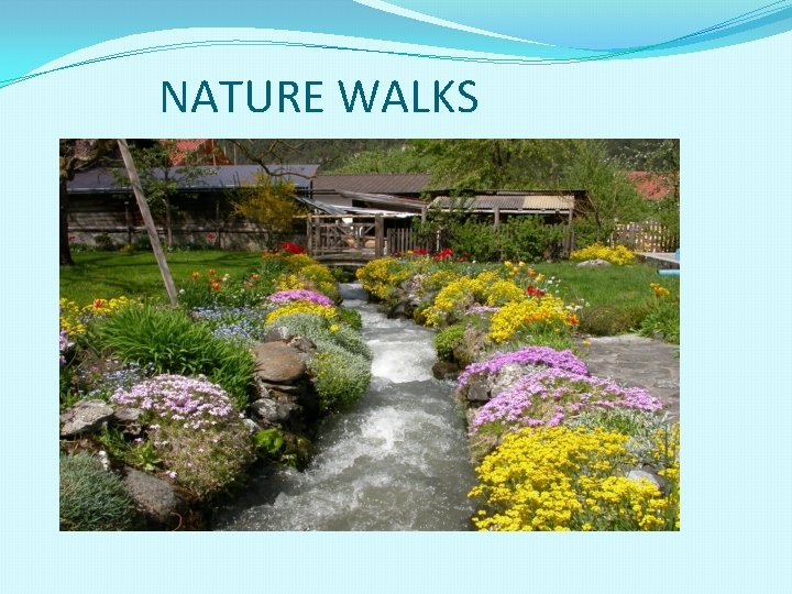 NATURE WALKS 