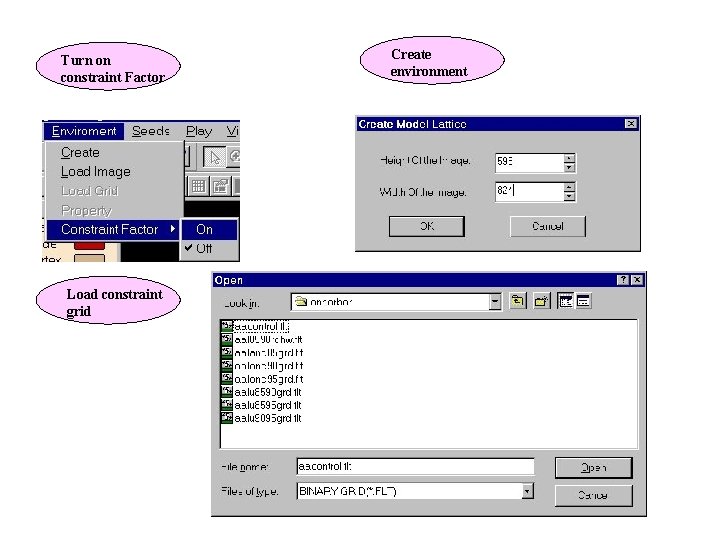 Turn on constraint Factor Load constraint grid Create environment 