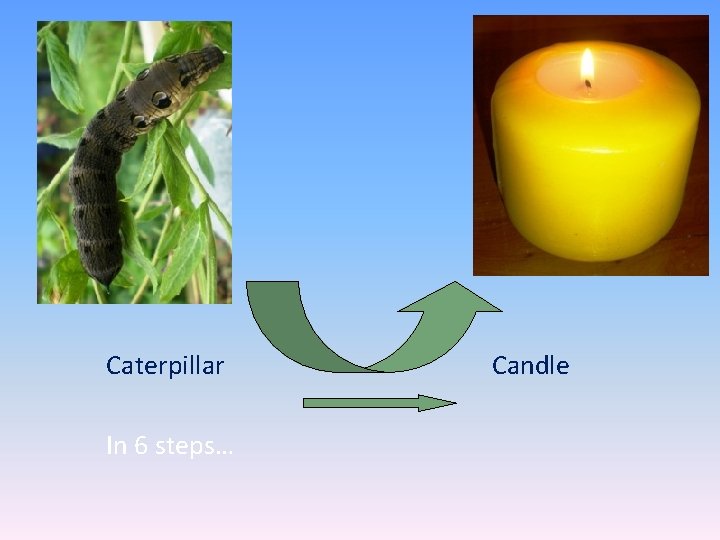 Caterpillar In 6 steps… Candle 