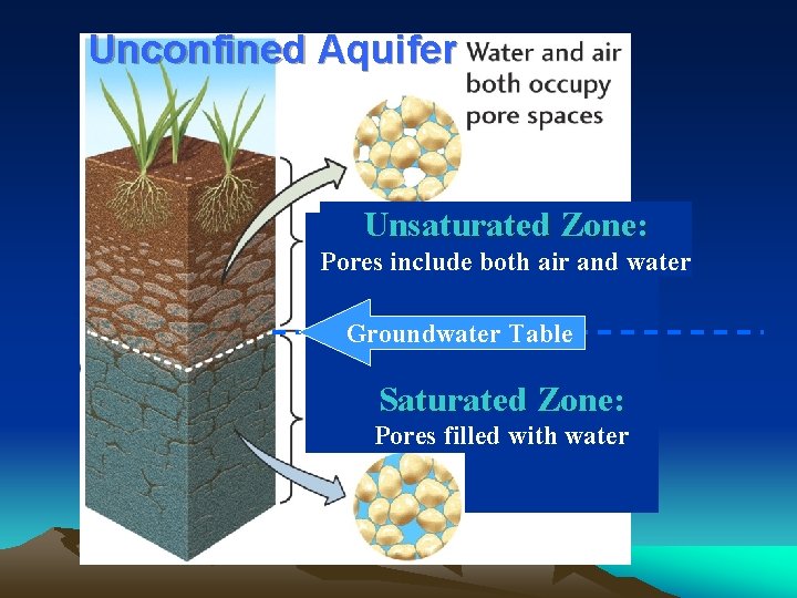 Unconfined Aquifer Unsaturated Zone: Pores include both air and water Groundwater Table Saturated Zone: