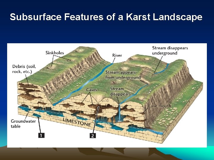 Subsurface Features of a Karst Landscape 