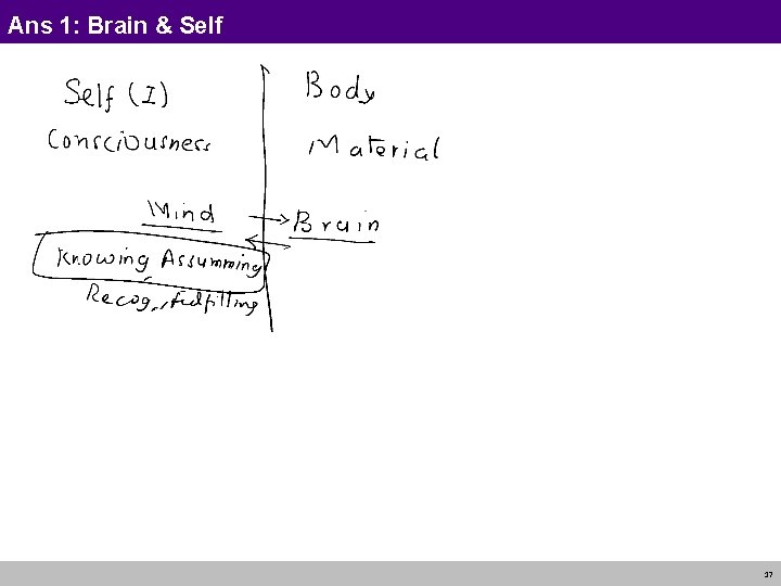 Ans 1: Brain & Self 17 