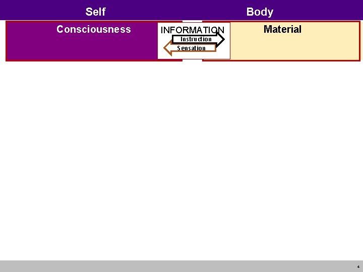 Self Consciousness Body INFORMATION Instruction Sensation Material 4 
