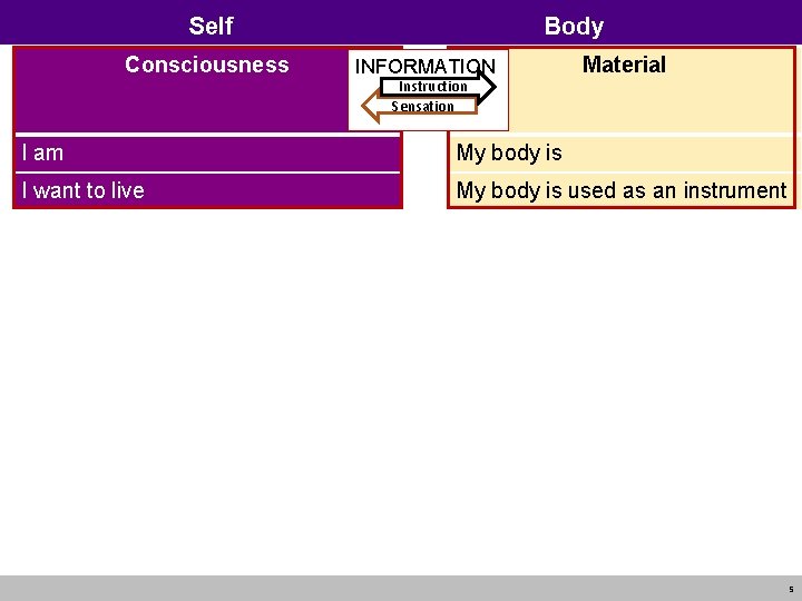 Self Consciousness Body INFORMATION Instruction Sensation Material I am My body is I want