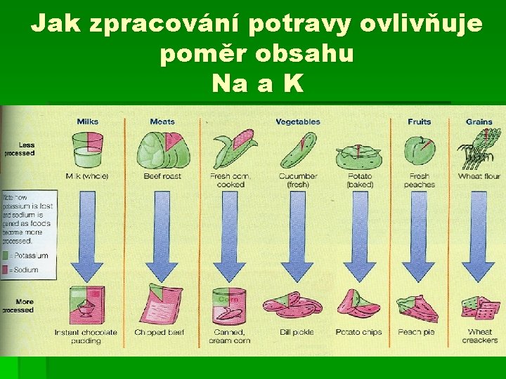 Jak zpracování potravy ovlivňuje poměr obsahu Na a K 