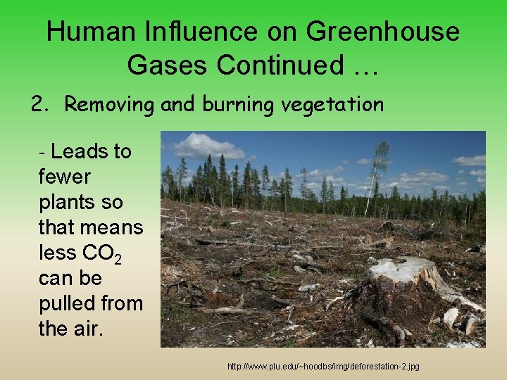 Human Influence on Greenhouse Gases Continued … 2. Removing and burning vegetation - Leads