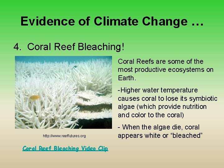 Evidence of Climate Change … 4. Coral Reef Bleaching! Coral Reefs are some of