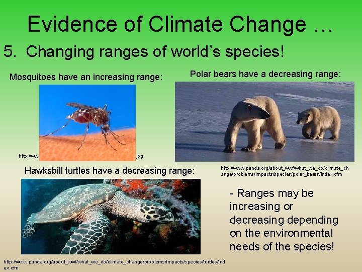 Evidence of Climate Change … 5. Changing ranges of world’s species! Mosquitoes have an