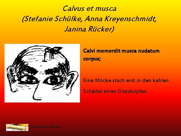 Calvus et musca (Stefanie Schülke, Anna Kreyenschmidt, Janina Rücker) Calvi momordit musca nudatum corpus;