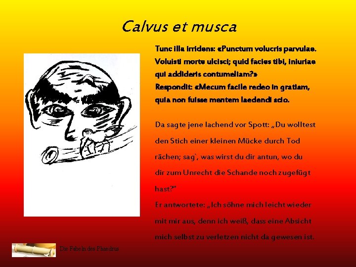 Calvus et musca Tunc illa irridens: «Punctum volucris parvulae. Voluisti morte ulcisci; quid facies