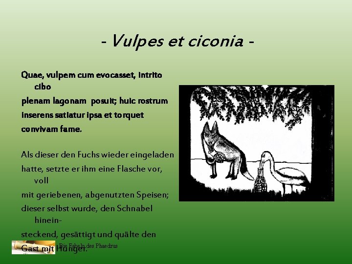 - Vulpes et ciconia Quae, vulpem cum evocasset, intrito cibo plenam lagonam posuit; huic