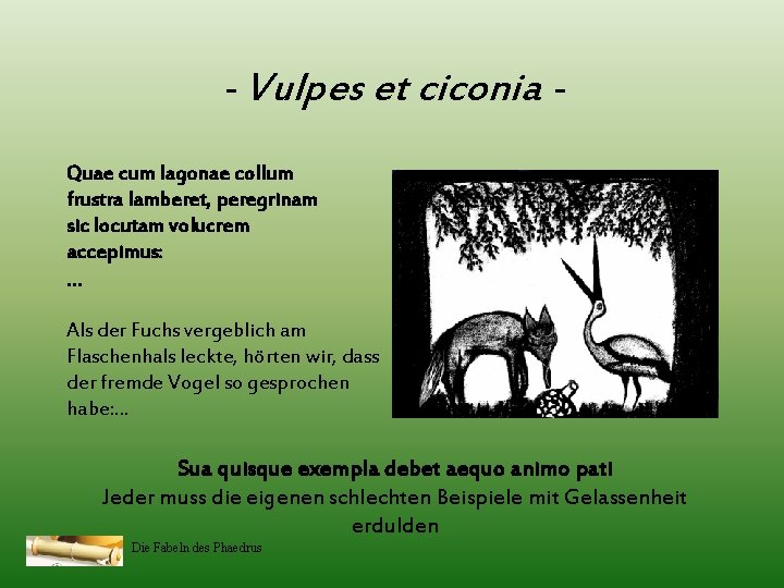 - Vulpes et ciconia Quae cum lagonae collum frustra lamberet, peregrinam sic locutam volucrem