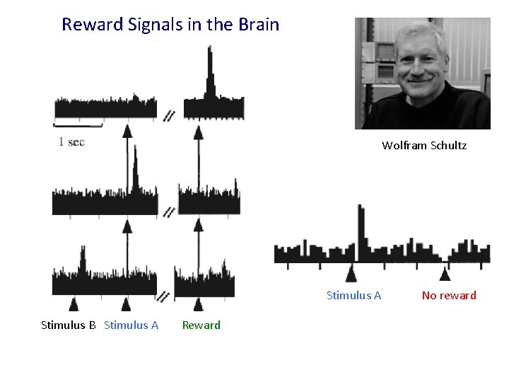 Reward Signals in the Brain Wolfram Schultz Stimulus A Stimulus B Stimulus A Reward