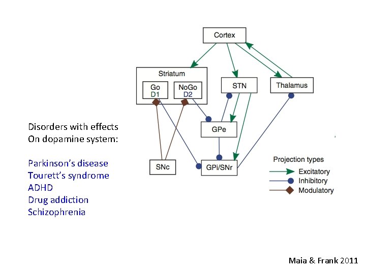 Disorders with effects On dopamine system: Parkinson’s disease Tourett’s syndrome ADHD Drug addiction Schizophrenia