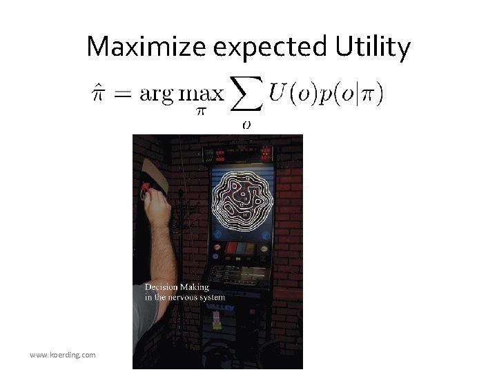 Maximize expected Utility www. koerding. com 