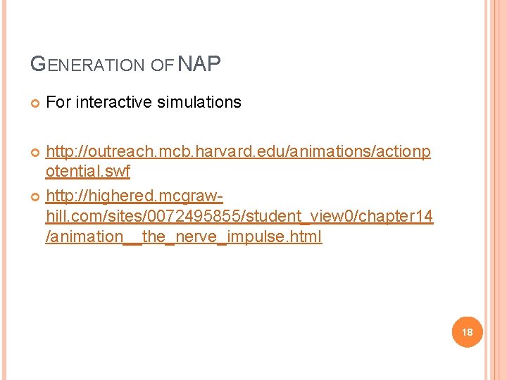 GENERATION OF NAP For interactive simulations http: //outreach. mcb. harvard. edu/animations/actionp otential. swf http: