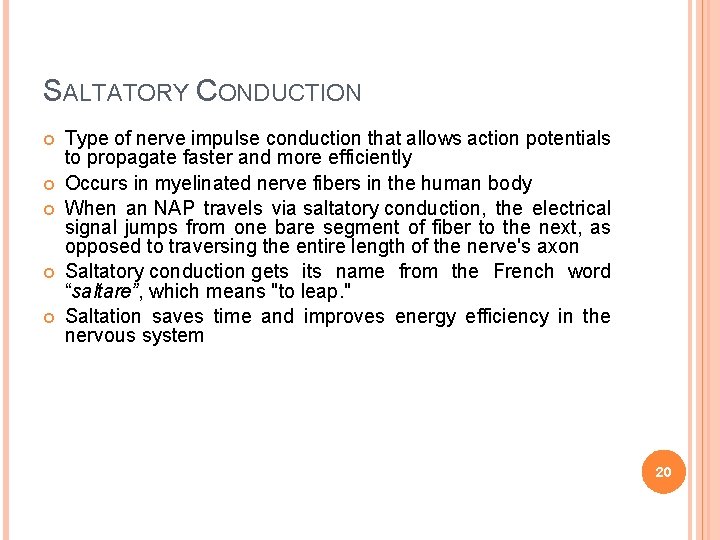 SALTATORY CONDUCTION Type of nerve impulse conduction that allows action potentials to propagate faster