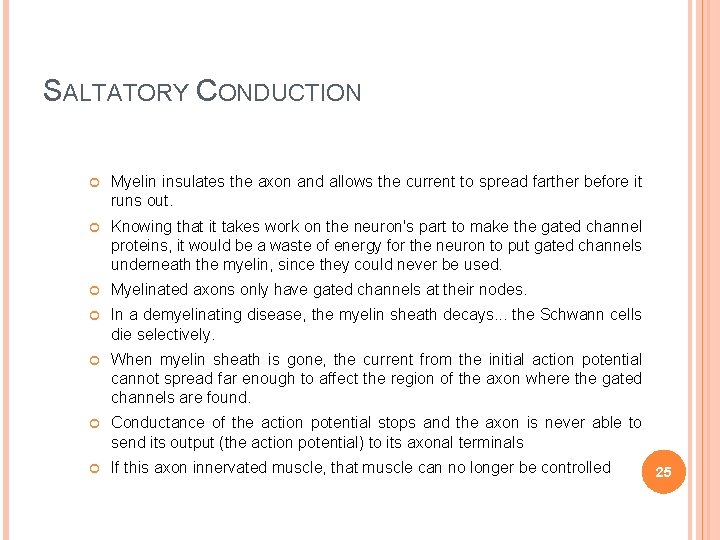 SALTATORY CONDUCTION Myelin insulates the axon and allows the current to spread farther before