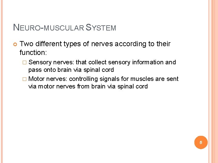 NEURO-MUSCULAR SYSTEM Two different types of nerves according to their function: � Sensory nerves: