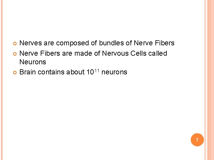 Nerves are composed of bundles of Nerve Fibers are made of Nervous Cells called