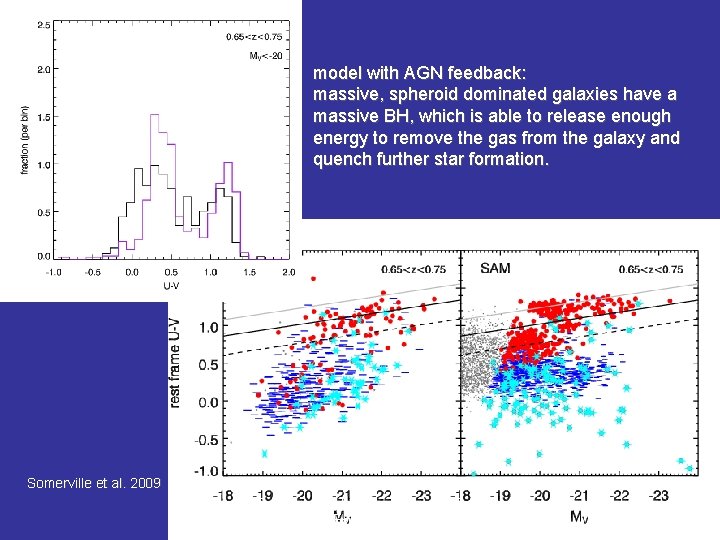 model with AGN feedback: massive, spheroid dominated galaxies have a massive BH, which is