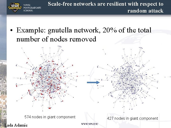 Scale-free networks are resilient with respect to random attack • Example: gnutella network, 20%