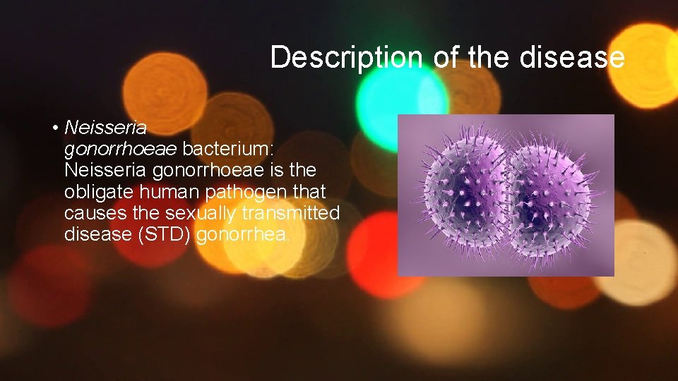 Description of the disease • Neisseria gonorrhoeae bacterium: Neisseria gonorrhoeae is the obligate human