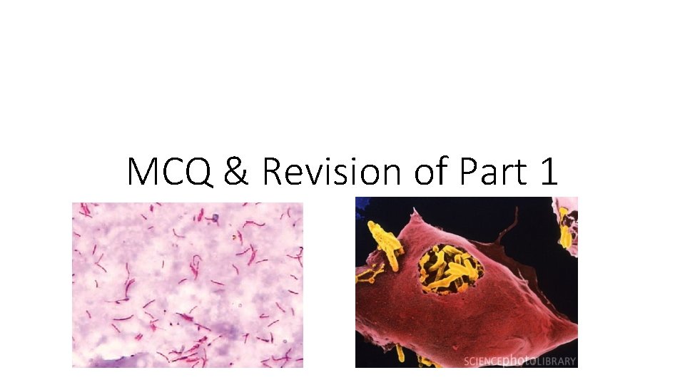 MCQ & Revision of Part 1 