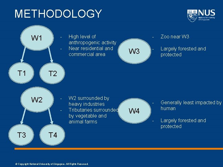 METHODOLOGY - W 1 - T 1 W 3 - Zoo near W 3