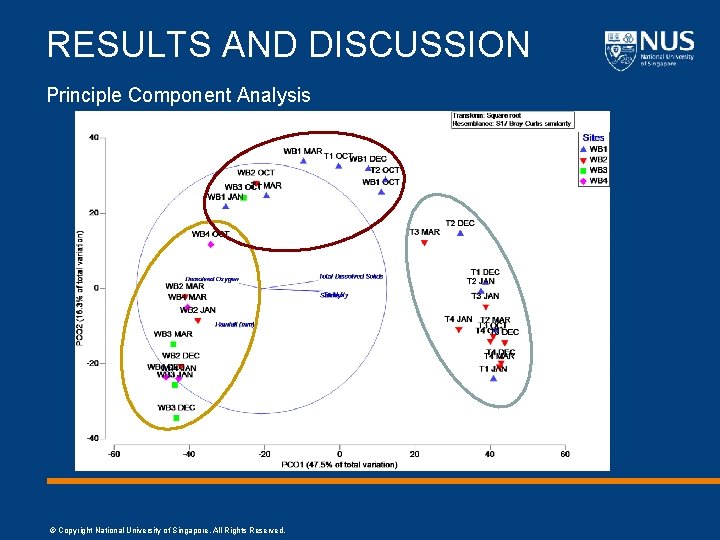 RESULTS AND DISCUSSION Principle Component Analysis © Copyright National University of Singapore. All Rights