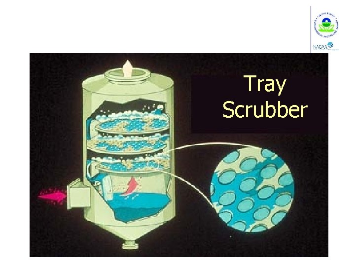 Tray Scrubber 