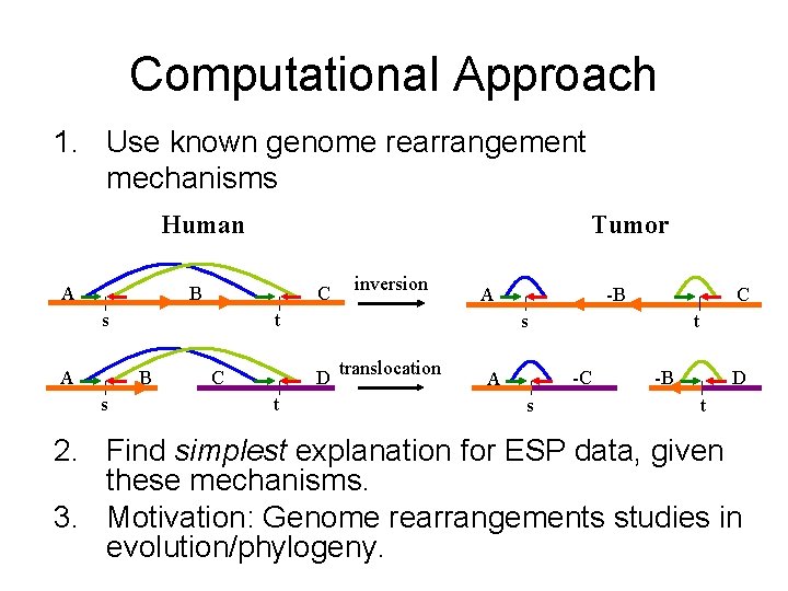 Computational Approach 1. Use known genome rearrangement mechanisms Human A Tumor B C B