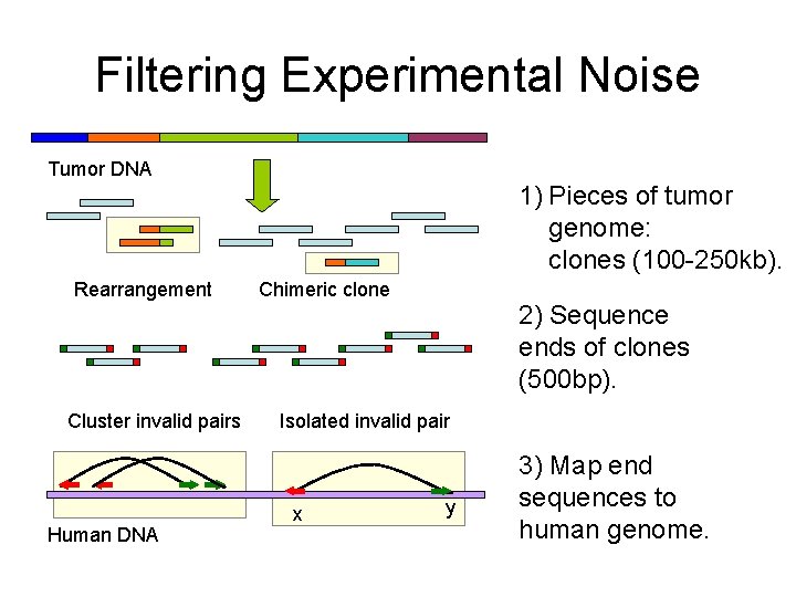 Filtering Experimental Noise Tumor DNA 1) Pieces of tumor genome: clones (100 -250 kb).