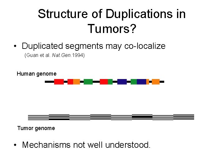Structure of Duplications in Tumors? • Duplicated segments may co-localize (Guan et al. Nat.