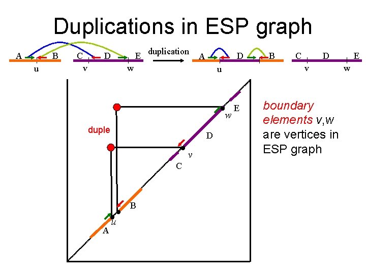Duplications in ESP graph A B u C E duplication D v D A