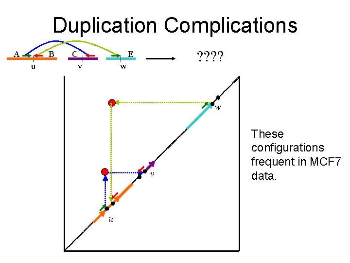 Duplication Complications A B u C ? ? E v w w v u