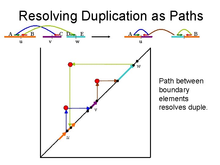 Resolving Duplication as Paths A B u C D v E A w B
