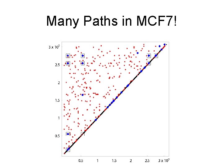 Many Paths in MCF 7! 