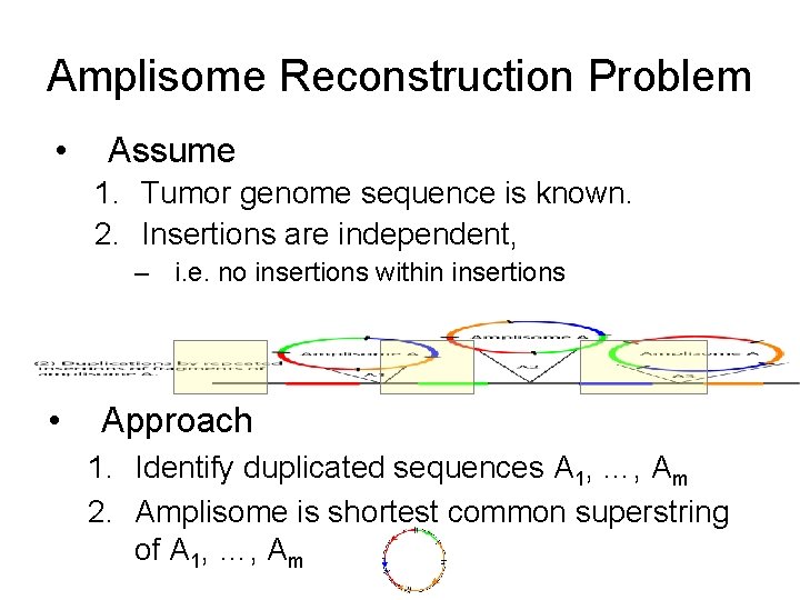 Amplisome Reconstruction Problem • Assume 1. Tumor genome sequence is known. 2. Insertions are