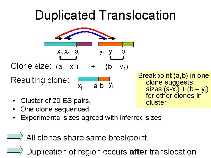 Duplicated Translocation x 1 x 2 a Clone size: (a – x 1) Resulting