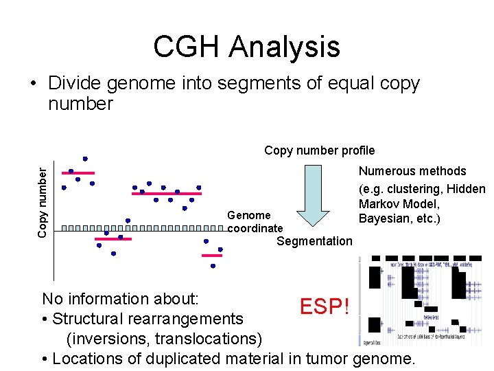 CGH Analysis • Divide genome into segments of equal copy number Copy number profile