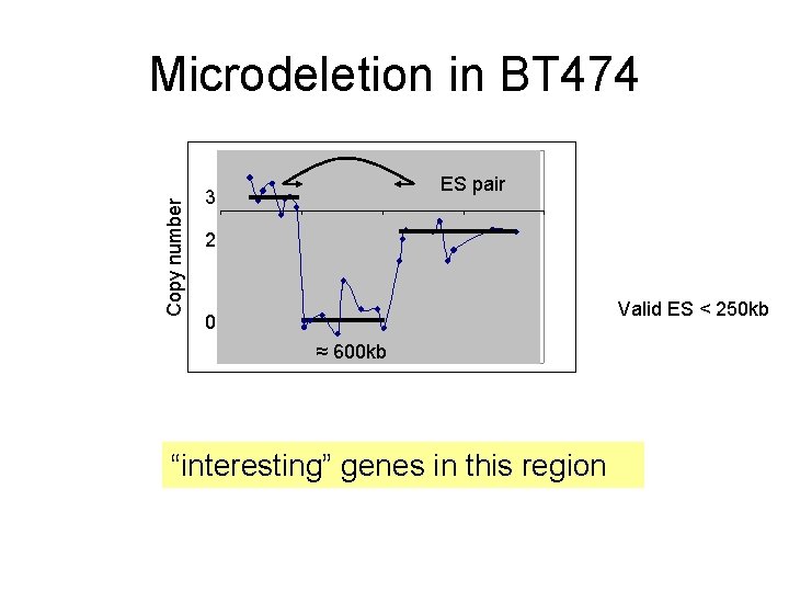 Copy number Microdeletion in BT 474 ES pair 3 2 Valid ES < 250