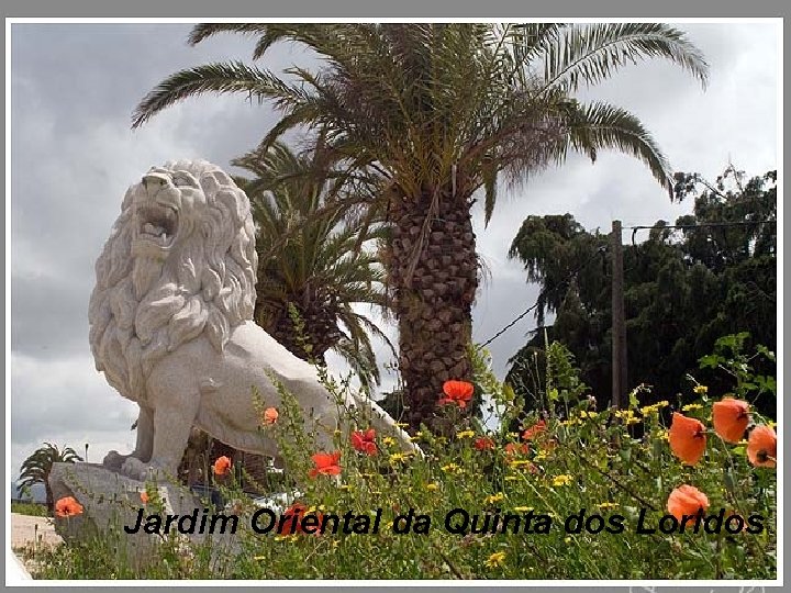 Jardim Oriental da Quinta dos Loridos 