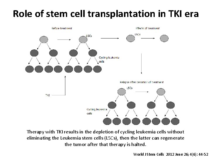 Role of stem cell transplantation in TKI era Therapy with TKI results in the