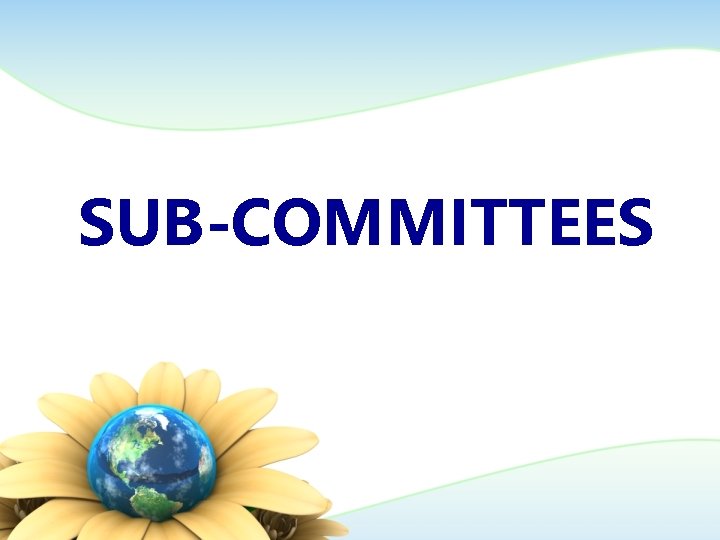 SUB-COMMITTEES 