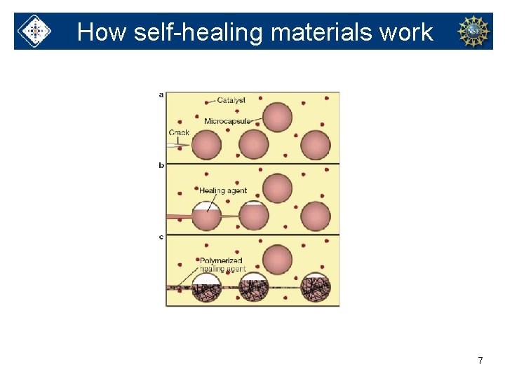 How self-healing materials work 7 